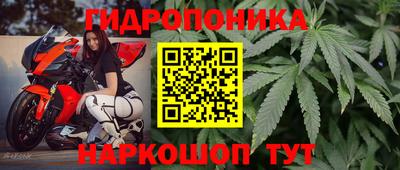 твердый Тара