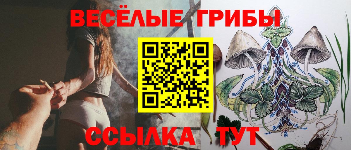Галлюциногенные грибы мицелий Белово